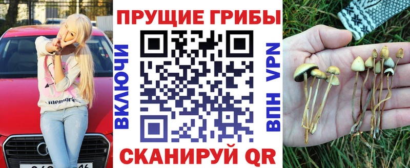 купить закладку  кракен рабочий сайт  Галлюциногенные грибы GOLDEN TEACHER  Спасск-Рязанский 
